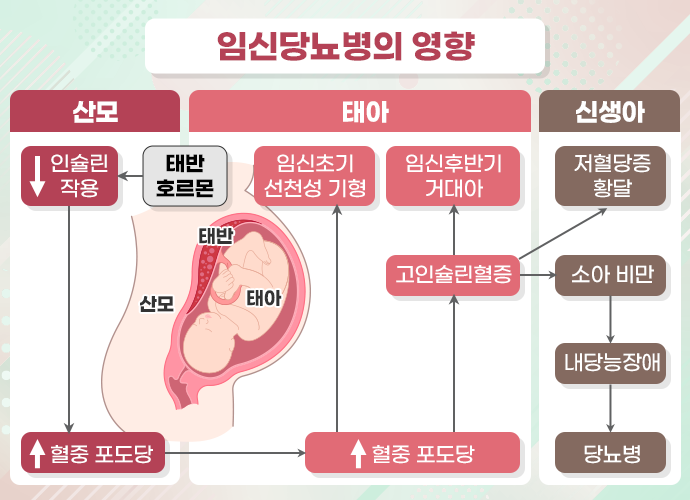 임신당뇨병의 영향 - 산모, 태아, 신생아에게 미치는 영향 흐름도